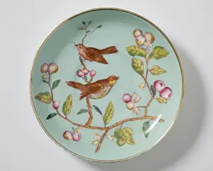 Saucer