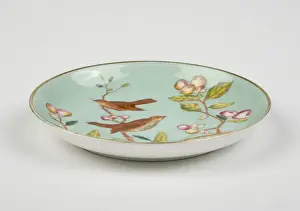 Saucer