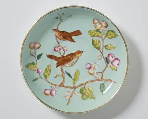 Saucer