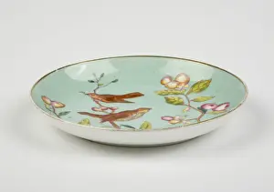 Saucer