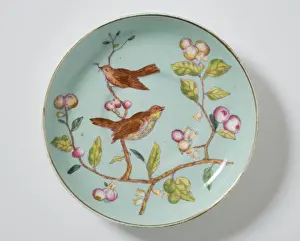 Saucer