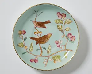 Saucer