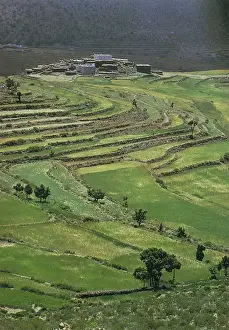 Saudi Prints: Saudi Arabia - Cultivated Fields Near As-Sudah