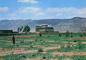 1976 Collection: Saudi Arabia - A Farm in Wadi Najran