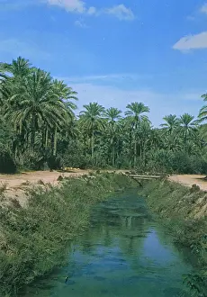 Artificial Prints: Saudi Arabia - Irrigation Canal in Al-Qatif