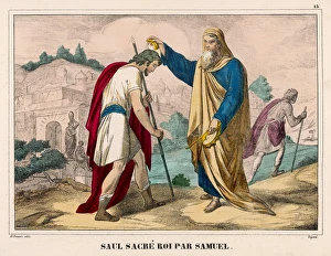 Anointed Collection: Saul Anointed King