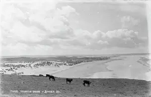 Cows Prints: Saunton Sands Landscape