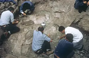 Palaeontologist Prints: Sauropod excavation, 1982
