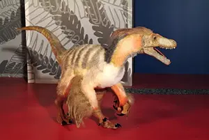 Saurornitholestes