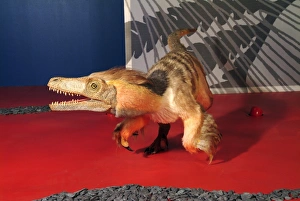 Killer Gallery: Saurornitholestes