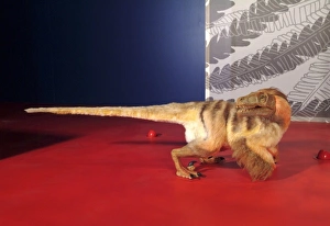 Killer Gallery: Saurornitholestes, Upper Cretaceous dinosaur