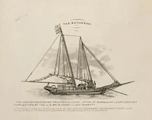 Savannah Prints: The Savannah