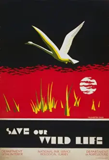 Save our wild life