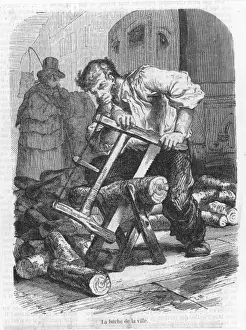 Sawing Firewood
