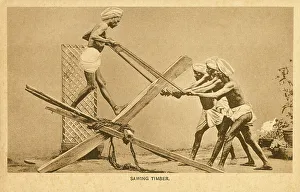 Workings Prints: Sawing Timber - India
