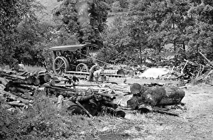 Sawmill Prints: A sawmill powered by traction engine, hand coloured photo