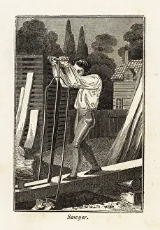 Labor Prints: Sawyers cutting timber with a large saw in a lumber yard