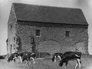 Saxon Chapel