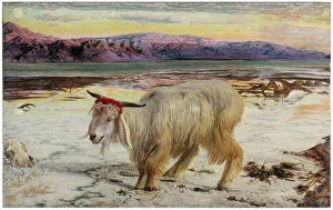 Symbolism Prints: Scapegoat Holman Hunt Pre Raphaelite Dead Sea