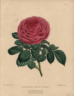 George Smith