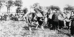 Scavengers Prints: Scavengers / 1919