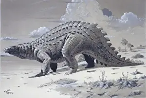 Armoured Prints: Scelidosaurus