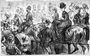 Images Dated 18th January 2019: Scene at Albert Gate, Hyde Park, London