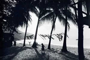 Scene on a beach, Tobago, West Indies
