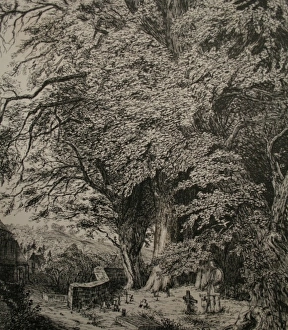 Images Dated 11th February 2011: Scene in a country churchyard