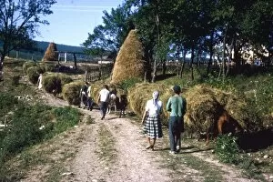 Images Dated 9th August 2012: Scene on a country lane, Yugoslavia