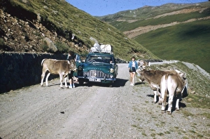Images Dated 9th August 2012: Scene on a country road, Wachau valley, Austria