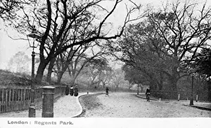 Scene on the edge of Regents Park, London