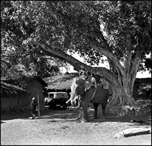 Madhya Prints: Scene with an elephant, Madhya Pradesh, India