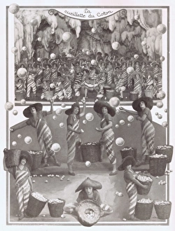 The scene La Cueillette du Coton from the revue Bonjour Pari The scene La Cueillette du Coton from the revue Bonjour Pari
