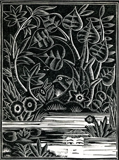 Images Dated 16th February 2011: Scene by a lake