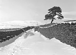 Scene of the Lake District