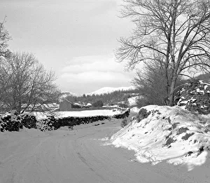 Scene of the Lake District