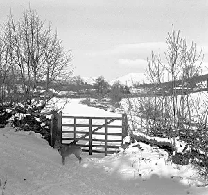 Scene of the Lake District