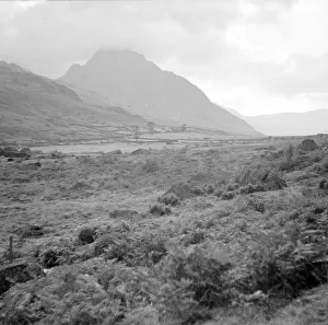 Scene of the Lake District