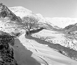 Scene of the Lake District