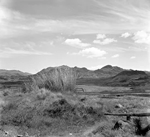 Scene of the Lake District near Devoke Water
