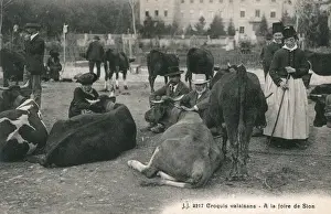Cows Prints: Scene at the local fair at Sion, Valais, Switzerland