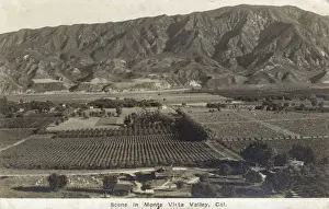 Orchards Prints: Scene in Monte Vista Valley, California, USA