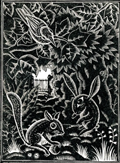 Images Dated 16th February 2011: A scene of nature