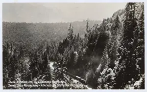 Scene in Santa Cruz Mountains, California, USA