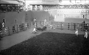 Scene in a sporting arena, India