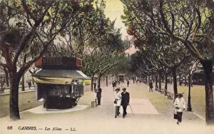 Cannes Gallery: A scene of a tree lined avenue in Cannes, 1920s