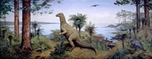Archosauromorpha Collection: Scene in Wealden Times