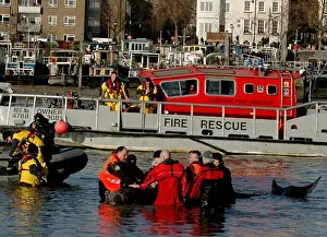 Scene of whale rescue attempt, River Thames