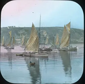 Scenery of Devon - Brixham Travellers